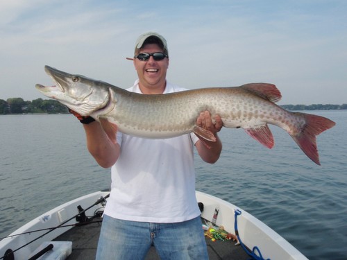 3 over 50 inches, 4 caught that morning 